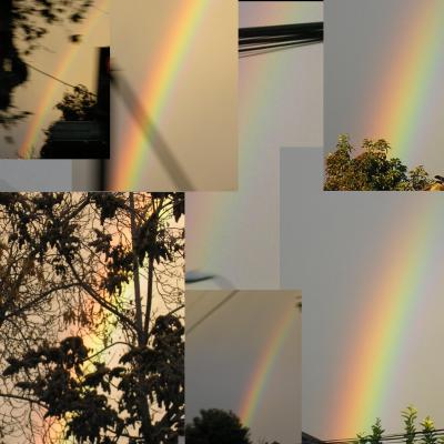 7 arcoiris